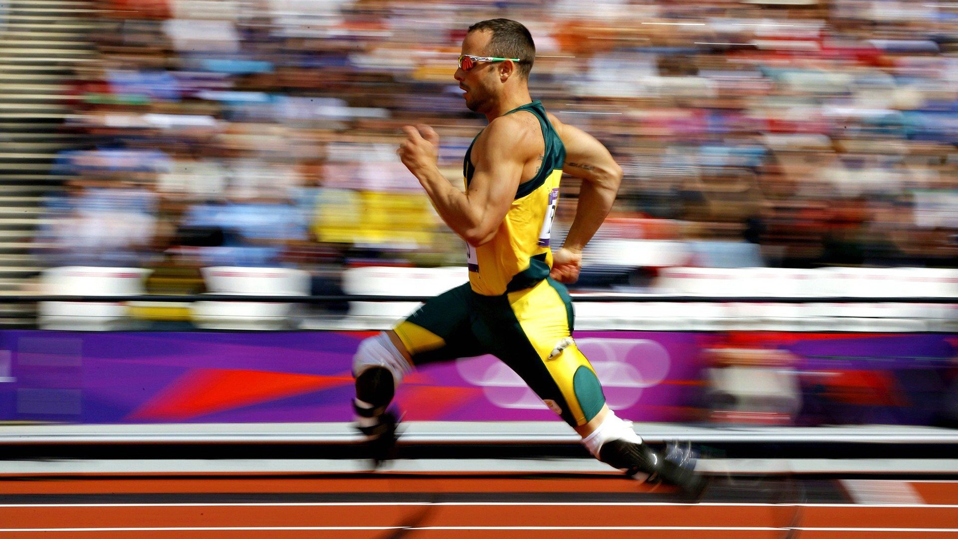 高校体育专业课程设置与市场需求匹配度分析,体育专业市场的分类