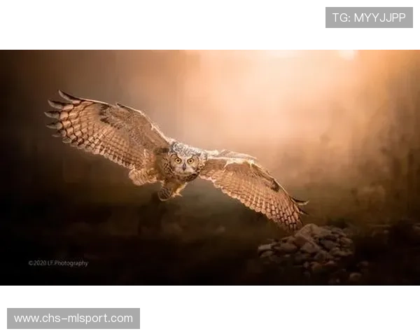 诺里斯一箭封喉